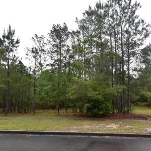 Photo #1 of 121 Pineberry Dr., Georgetown, SC 0.1 acres