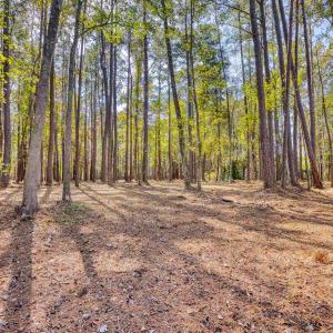 Photo #23 of 4250 Lilac Rd., Myrtle Beach, SC 3.3 acres