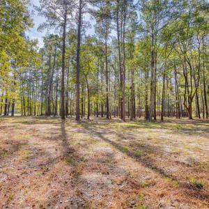 Photo #26 of 4250 Lilac Rd., Myrtle Beach, SC 3.3 acres