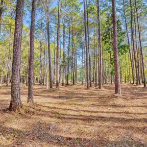 Photo #15 of 4250 Lilac Rd., Myrtle Beach, SC 3.3 acres