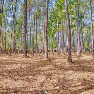 Photo #12 of 4250 Lilac Rd., Myrtle Beach, SC 3.3 acres