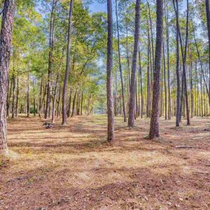 Photo #16 of 4250 Lilac Rd., Myrtle Beach, SC 3.3 acres