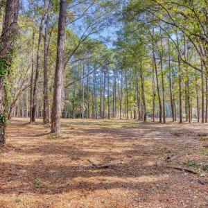 Photo #19 of 4250 Lilac Rd., Myrtle Beach, SC 3.3 acres