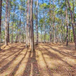 Photo #24 of 4250 Lilac Rd., Myrtle Beach, SC 3.3 acres