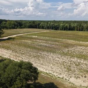 Photo #15 of 2757 Lees Landing Circle, Conway, SC 48.2 acres
