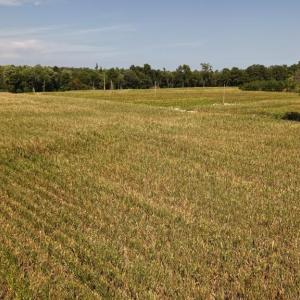 Photo #12 of 2757 Lees Landing Circle, Conway, SC 48.2 acres