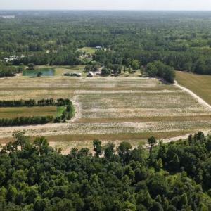 Photo #6 of 2757 Lees Landing Circle, Conway, SC 48.2 acres