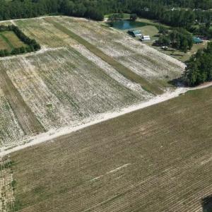 Photo #5 of 2757 Lees Landing Circle, Conway, SC 48.2 acres