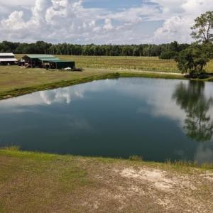 Photo #10 of 2757 Lees Landing Circle, Conway, SC 48.2 acres