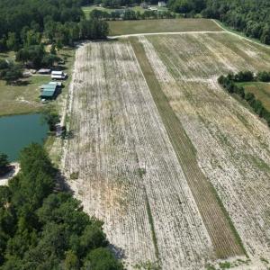 Photo #11 of 2757 Lees Landing Circle, Conway, SC 48.2 acres