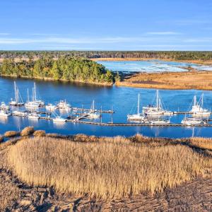 Photo #3 of TBD Warham Dr., Georgetown, SC 0.3 acres