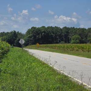 Photo #3 of Dunbar Highway, Blenheim, SC 160.8 acres