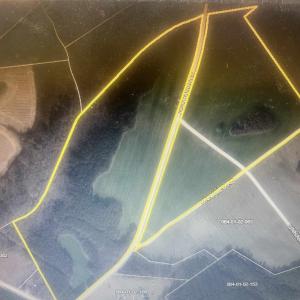 Photo #11 of Dunbar Highway, Blenheim, SC 160.8 acres