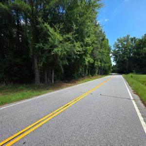 Photo #9 of Dunbar Highway, Blenheim, SC 160.8 acres