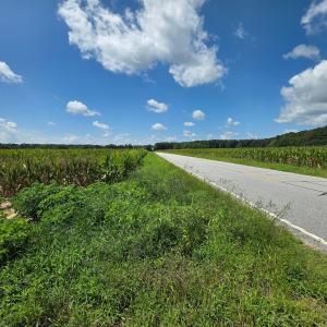 Photo #4 of Dunbar Highway, Blenheim, SC 160.8 acres