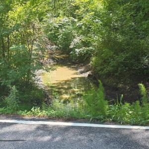 Photo #2 of Dunbar Highway, Blenheim, SC 160.8 acres