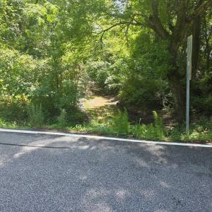 Photo #1 of Dunbar Highway, Blenheim, SC 160.8 acres