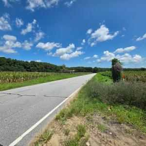 Photo #5 of Dunbar Highway, Blenheim, SC 160.8 acres