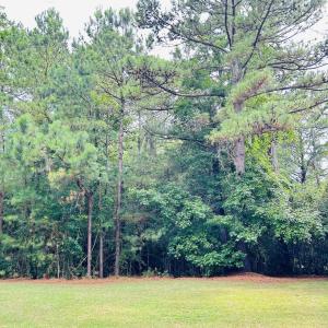 Photo #2 of 18 Monarch Ct., Pawleys Island, SC 0.4 acres