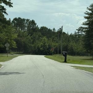 Photo #3 of 5417 Tweety Ave., Conway, SC 10.6 acres