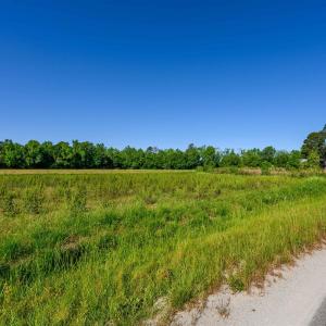 Photo #2 of TBD Billy MC Rd., Green Sea, SC 9.4 acres