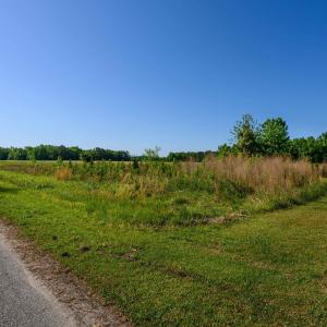 Photo #1 of TBD Billy MC Rd., Green Sea, SC 9.4 acres