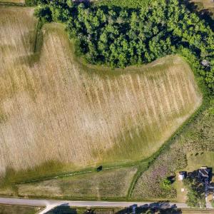 Photo #18 of TBD Billy MC Rd., Green Sea, SC 9.4 acres