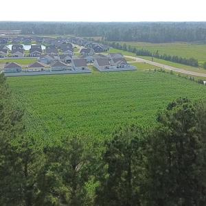Photo #13 of 1621 Highway 9, Longs, SC 7.2 acres
