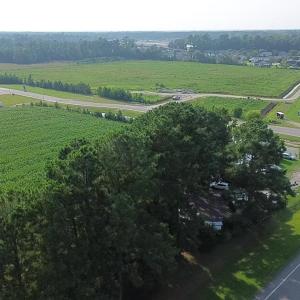 Photo #14 of 1621 Highway 9, Longs, SC 7.2 acres