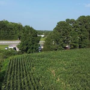 Photo #7 of 1621 Highway 9, Longs, SC 7.2 acres