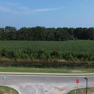 Photo #4 of 1621 Highway 9, Longs, SC 7.2 acres