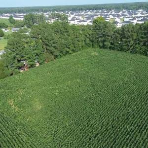 Photo #15 of 1621 Highway 9, Longs, SC 7.2 acres