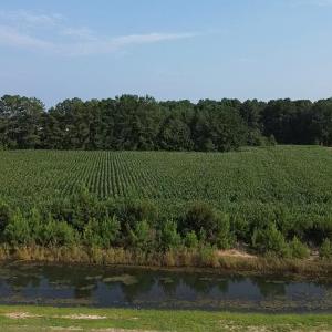 Photo #5 of 1621 Highway 9, Longs, SC 7.2 acres