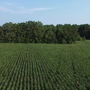 Photo #6 of 1621 Highway 9, Longs, SC 7.2 acres