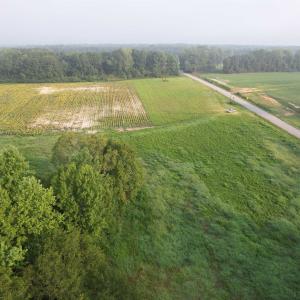 Photo #5 of 9.58 Acres - Deerfield Rd., Johnsonville, SC 9.6 acres