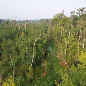 Photo #9 of 9.58 Acres - Deerfield Rd., Johnsonville, SC 9.6 acres