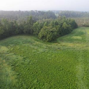 Photo #2 of 9.58 Acres - Deerfield Rd., Johnsonville, SC 9.6 acres
