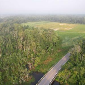 Photo #4 of 9.58 Acres - Deerfield Rd., Johnsonville, SC 9.6 acres