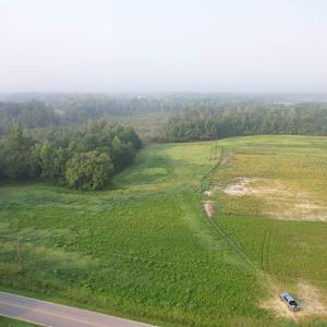 Photo #3 of 9.58 Acres - Deerfield Rd., Johnsonville, SC 9.6 acres