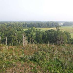 Photo #9 of 17.74 Acres - Deerfield Rd., Johnsonville, SC 17.7 acres