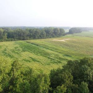 Photo #10 of 17.74 Acres - Deerfield Rd., Johnsonville, SC 17.7 acres