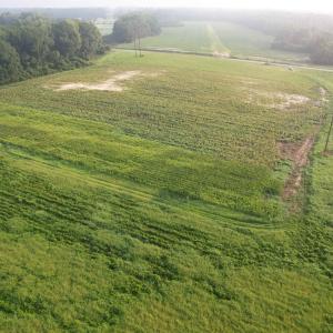 Photo #7 of 17.74 Acres - Deerfield Rd., Johnsonville, SC 17.7 acres