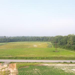 Photo #2 of 17.74 Acres - Deerfield Rd., Johnsonville, SC 17.7 acres
