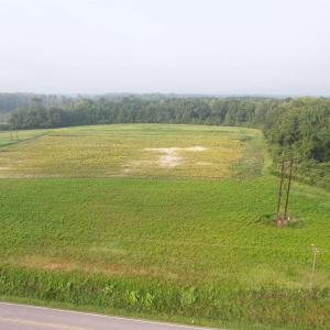 Photo #3 of 17.74 Acres - Deerfield Rd., Johnsonville, SC 17.7 acres