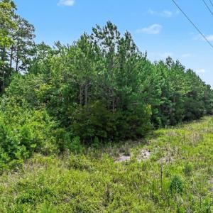 Photo #6 of 240 Calvary Rd., Little River, SC 1.0 acres