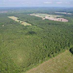 Photo #19 of 50.5 Acres Epps Rd., New Zion, SC 50.5 acres