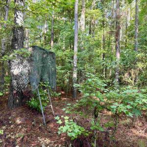 Photo #2 of 50.5 Acres Epps Rd., New Zion, SC 50.5 acres