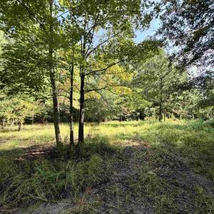 Photo #1 of 50.5 Acres Epps Rd., New Zion, SC 50.5 acres