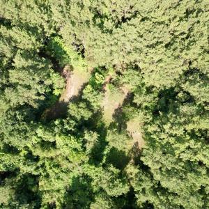 Photo #18 of 50.5 Acres Epps Rd., New Zion, SC 50.5 acres