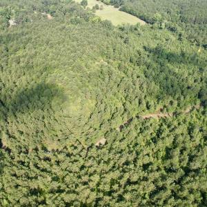 Photo #20 of 50.5 Acres Epps Rd., New Zion, SC 50.5 acres